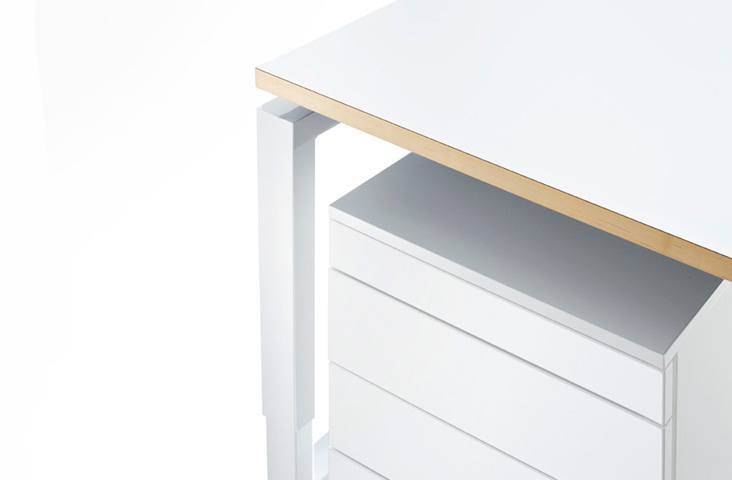 TwinForm | ExWorks workstations