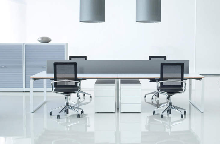 TwinForm | ExWorks workstations